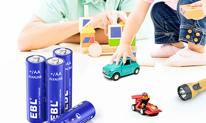 EBL Non-rechargeable Battery